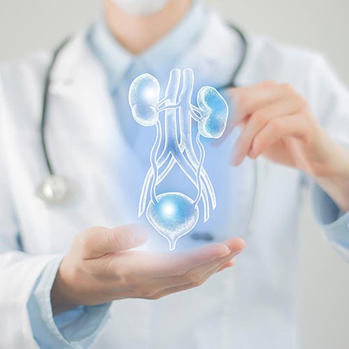 ncontinência Urinária - Ginecologista em Vitória - Espírito Santo, colposcopia e laser ginecológico.