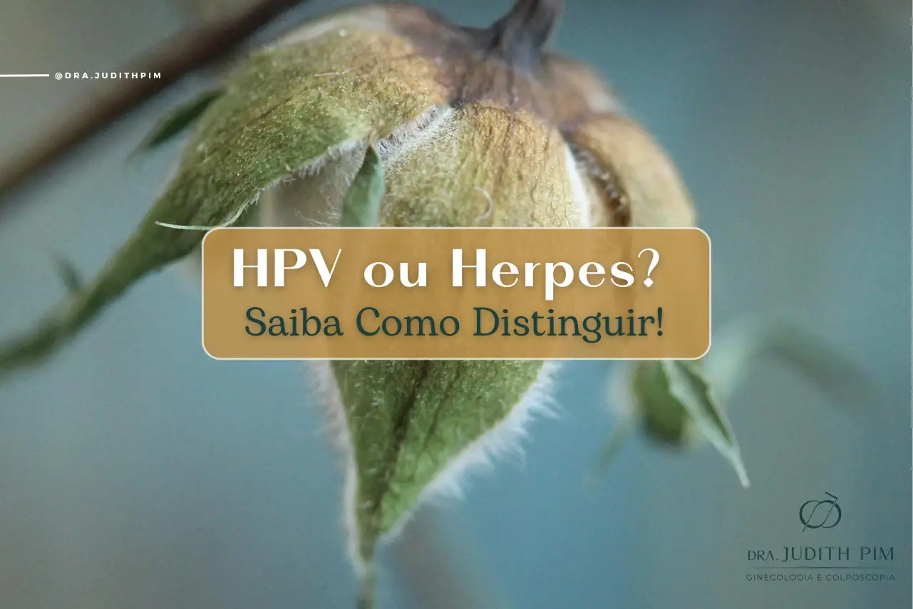 HPV ou Herpes, saiba como distinguir!